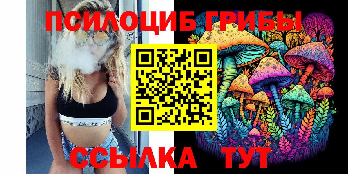 Галлюциногенные грибы Psilocybine cubensis  Вход с VPN  Вышний Волочёк 